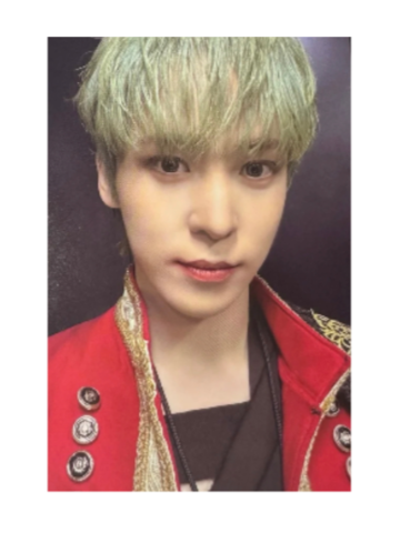 [ONLY PHOTOCARD] ATEEZ - THE WORLD EP.FIN WILL 2ND FULL ALBUM STANDARD RANDOM - COKODIVE